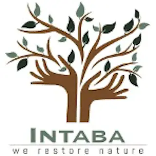 Intaba